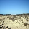 Fuerteventura-Isla de Lobos (4)